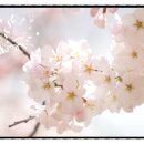 미담상담센터 이미지