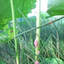 성내농장 이미지