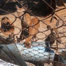 솔밭사이로 이미지