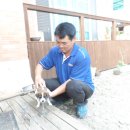 솔비농장 이미지