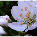 나의살던고향민박 이미지