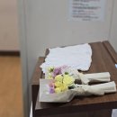 중앙대학교광명병원 이미지