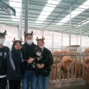 음메소농장 이미지