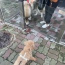 정이룸 동물병원 이미지