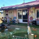 스테이 겨를 이미지