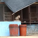 큰마을 농장 이미지