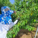 시후농장 이미지