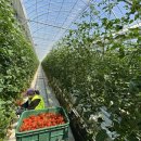 태인건설㈜ 이미지