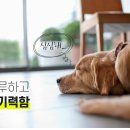 스마트점핑