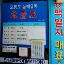 여문카써비스 | [전남 여수 추천 여행지]가족 또는 연인과 가볼 만한 곳① : 산책으로 힐링하기 좋은 오동도(주차·동백...