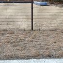 광주송정초등학교 병설유치원 이미지