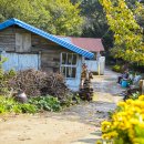 태하등대 이미지