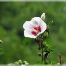 쌍둥이 펜션 이미지