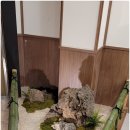 돌담장식당 | 대구실내조경 인테리어 일본풍 고산수식 정원의 미학