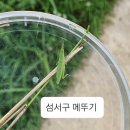 여치공원 이미지