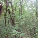 삼봉1리마을회관 이미지