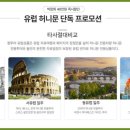 (주)허니문투어 이미지