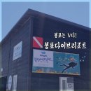 봉포다이브리조트 | 봉포는 V다! 봉포다이브리조트 여자혼자 다이빙 후기 (시설, 교통, 가격)
