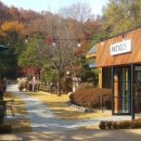 파티오-25 이미지