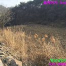 한우축사 이미지