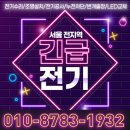 번개전업사