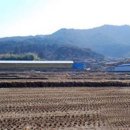 금지면 상신마을 이미지