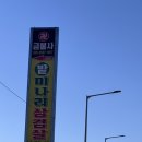 고성월계밭미나리
