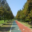 고산미소시장 이미지