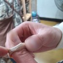 영상공방 단풍 | 대구 동성로 가을에 태어난 우리의 단풍나무반지 원데이클래스 '대구 오월공방'