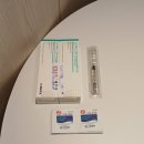 신일의원 | 상봉마리아의원 시험관 1차 / 배란초음파 / 피검사 / 데카펩틸주 / 오비드렐주 / 난자채취 준비 완료