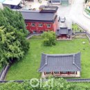 석성동헌 탱자나무 이미지