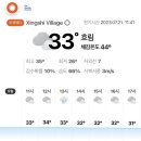 이 남자 대만에선 어떨까?