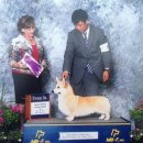 더 굿보이(THE GOODBOY) 이미지