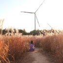 신원면-38 이미지