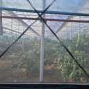 소용농장 이미지