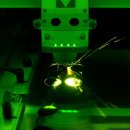 뉴페이스안경 이미지