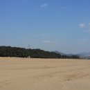 벚굴식당 이미지