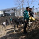 희망의 나무 이미지