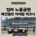 청라 노을공원 스케이트플라자 | 인천 청라 노을공원 애견동반 아이랑 피크닉 주차장