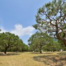 실전항 | 창원 야경 안민고개 출사지를 가다.