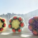 별빛정원 이미지