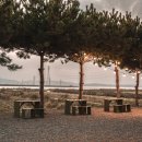 나무에 그리는 세상 우드버닝 이미지