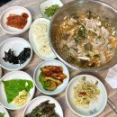 전남 장흥 맛집 / 신들뫼바다 / 된장물회 장흥에서 제일 맛있어!