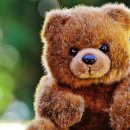 인형뽑기 이미지