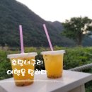 영월아프리카미술박물관&에이미캠핑장 이미지