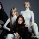 쇼파드 카카오 검색결과