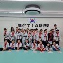 TIA 태권도 이미지
