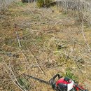 청등농장 이미지