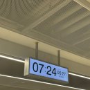 클로버 동물병원 | Shanghai🇨🇳 1 (상하이 계획, 푸동공항, 노보텔 클로버, 디즈니랜드, 디즈니랜드 맛집, 팝시클 추천...