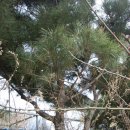 창고 옆 이미지